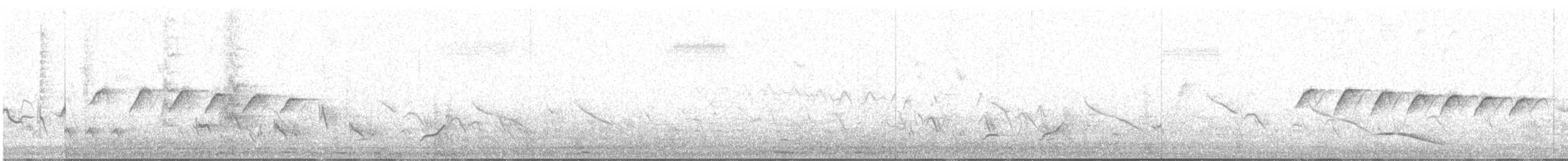 Tropical Gnatcatcher - ML644049586