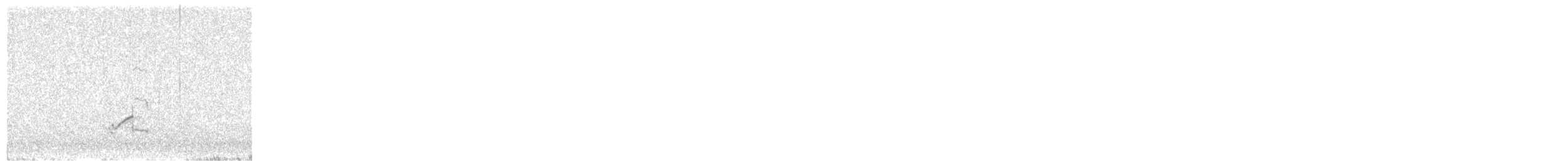 Pacific Golden-Plover - ML644049901