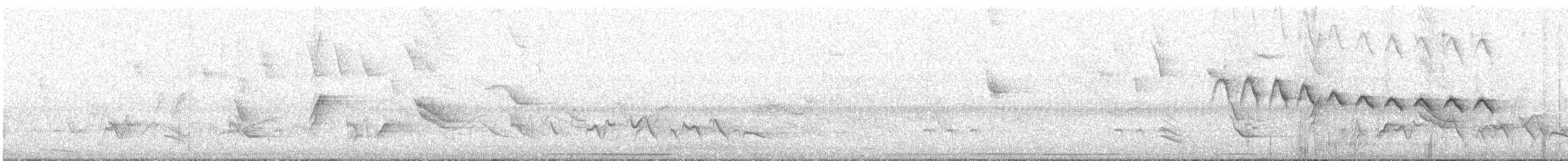 Tropical Gnatcatcher - ML644050291