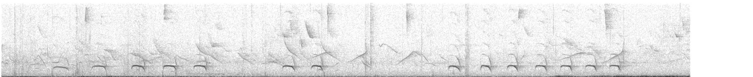 Black-crested Antshrike - ML644050305