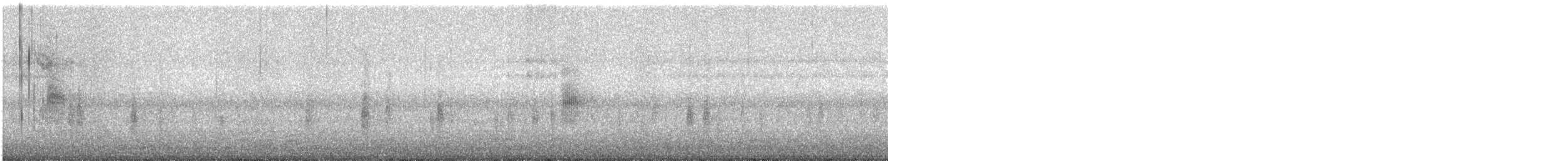 papežík americký - ML644051789