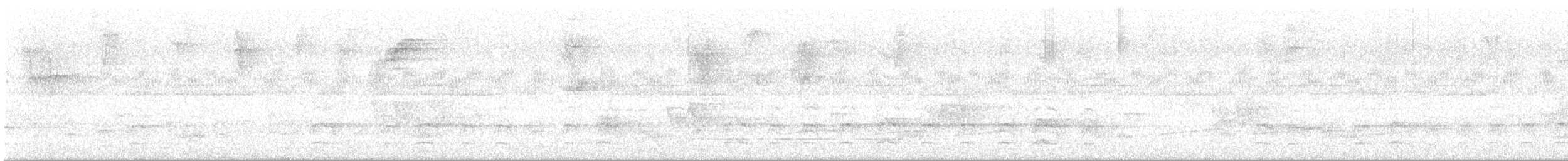 Roadside Hawk - ML644052021