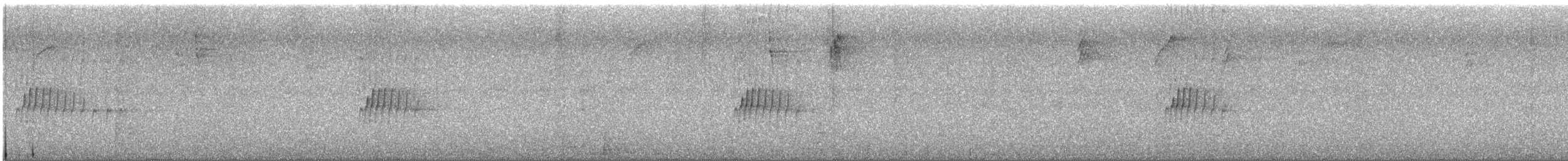 Northern Tropical Pewee - ML644052608
