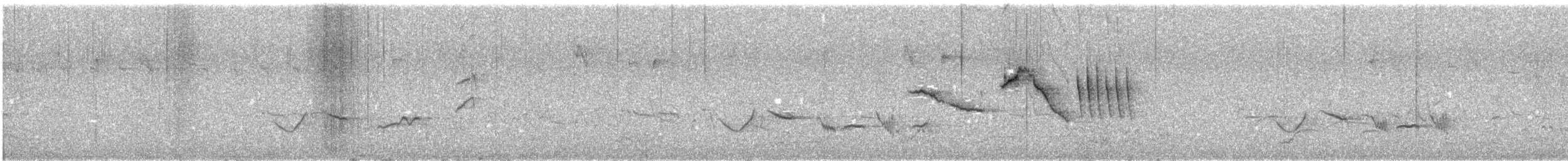 Дрозд-чигуанко - ML644052805