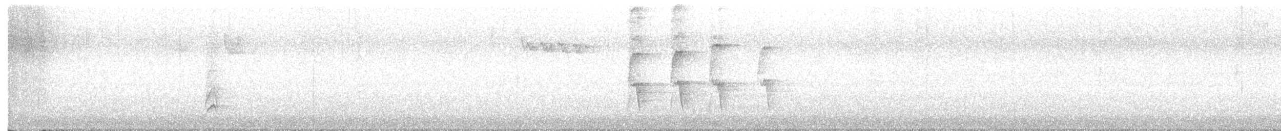 American Robin - ML644053808