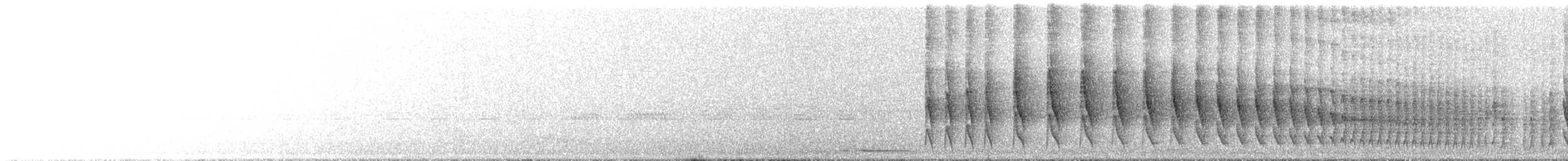 Striated Softtail - ML644054896