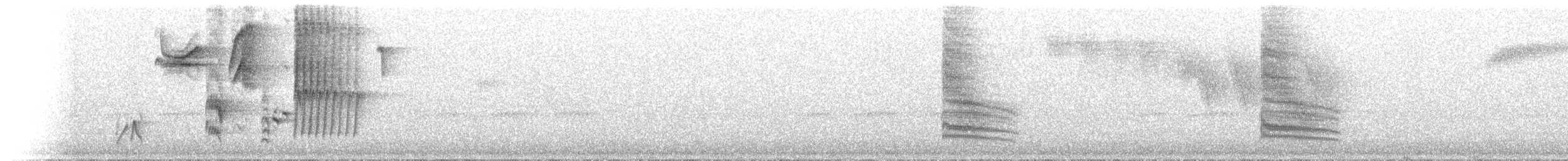 Rufous-brown Solitaire - ML644054921