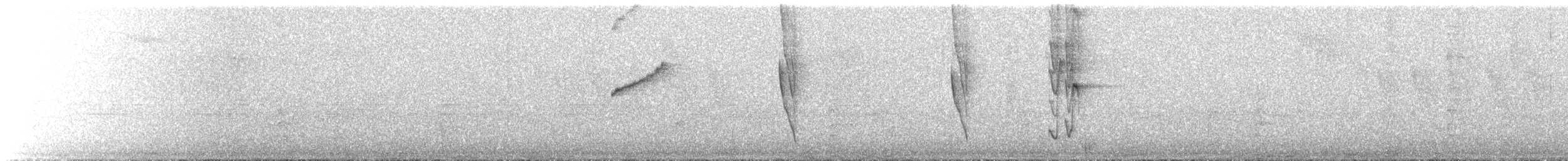 Ерміт-самітник багійський - ML644054955