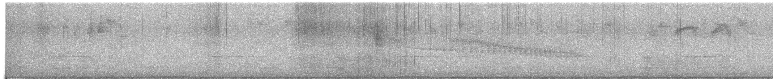 White-throated Quail-Dove - ML644055180