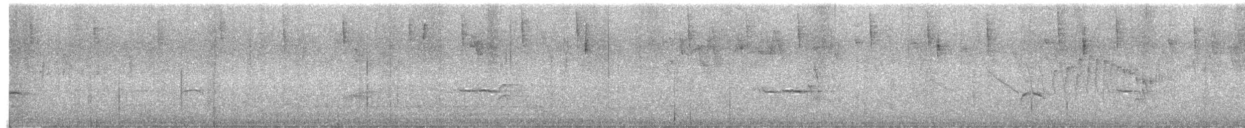 White-throated Quail-Dove - ML644055536