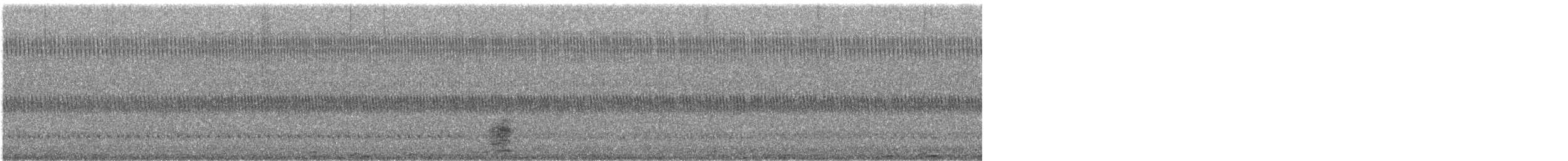 Koartza hauskara amerikarra - ML644055552