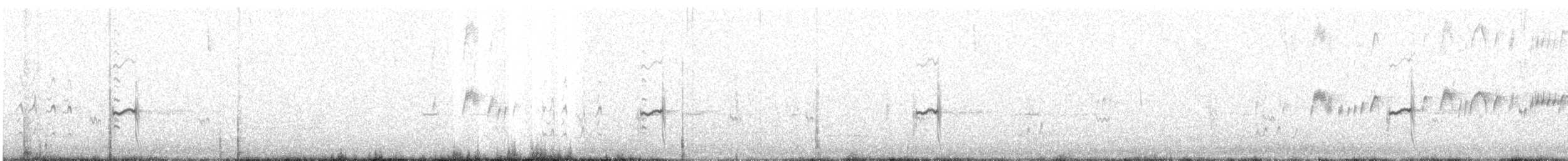 Semipalmated Plover - ML644056203