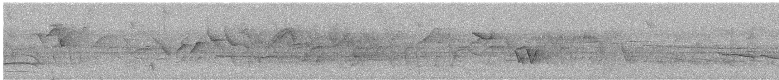 Swallow-tailed Cotinga - ML644056216