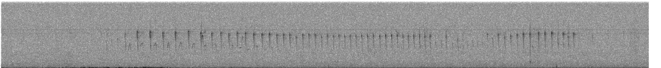 White-crested Tyrannulet - ML644058034