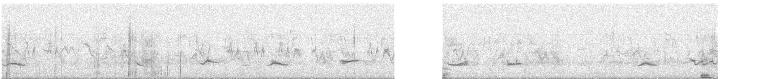 Creamy-bellied Thrush - ML644058828