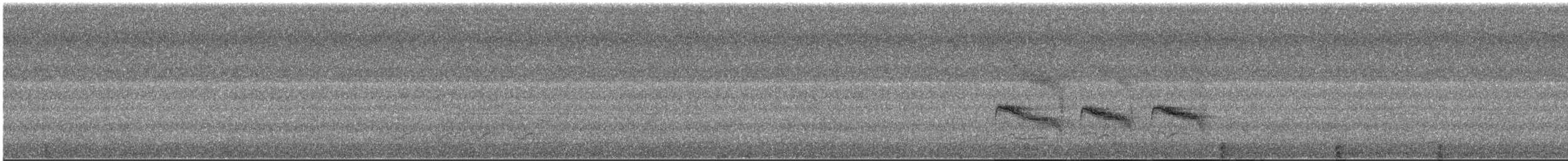 skogtyrann - ML644059305