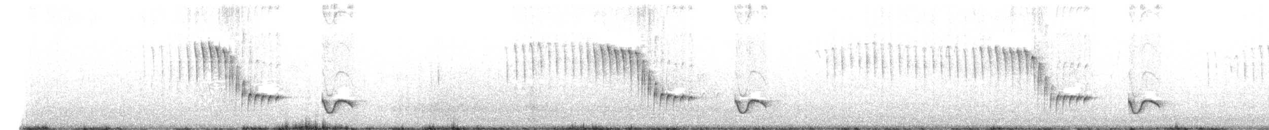 Superciliated Wren - ML644061143