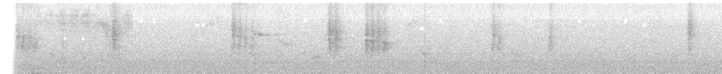 Spot-winged Antbird - ML644061263