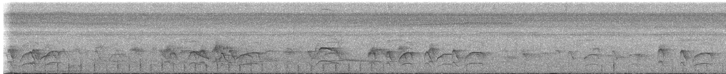 tanımsız Picidae sp. - ML644061886