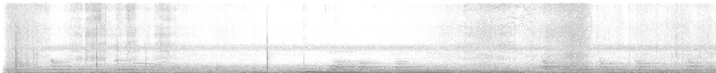 American Barn Owl - ML644062528