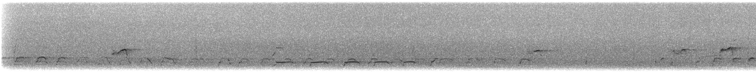 Pygargue à tête blanche - ML644063423