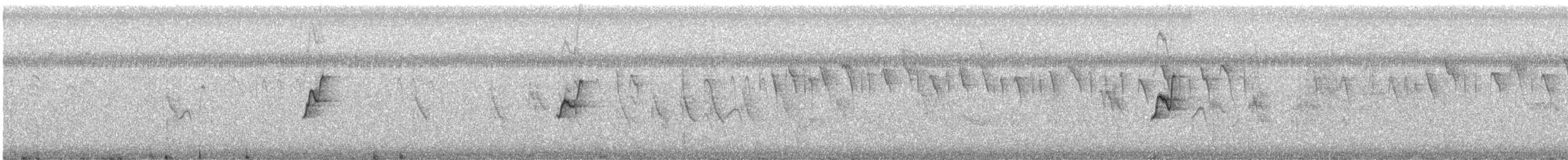 Микронезийская медовка - ML644063741