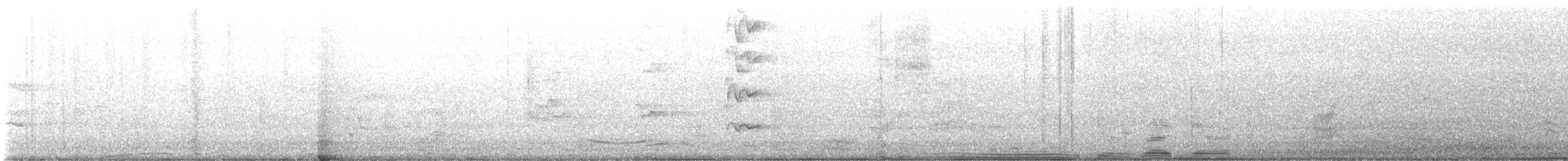 medosavka hlučná - ML644064160