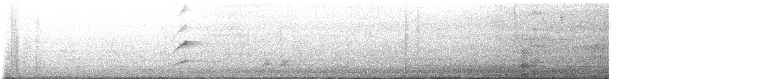 medosavka hlučná - ML644064246