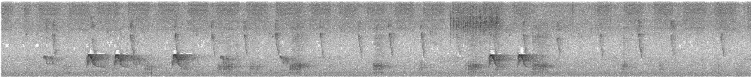 Blue-banded Toucanet - ML644064729