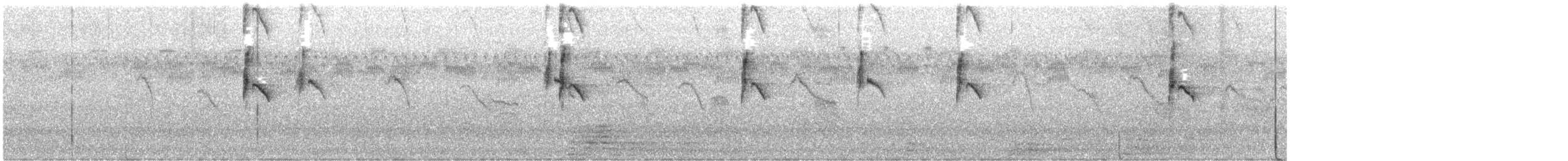 tyran obecný - ML644065202