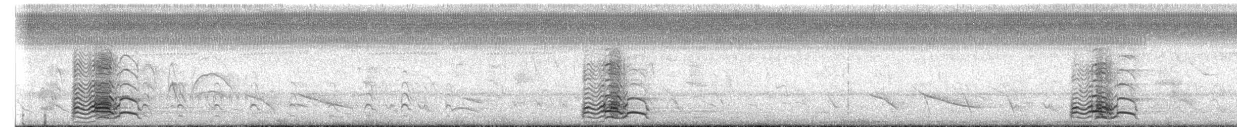 Southern Screamer - ML644065697