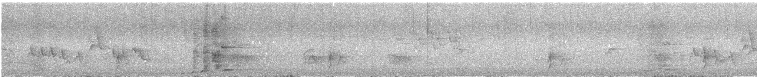 Cacique Verdioscuro - ML644065885