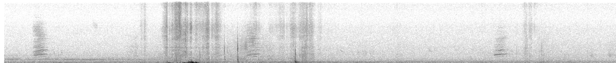 Steller's Jay (Coastal) - ML644065890