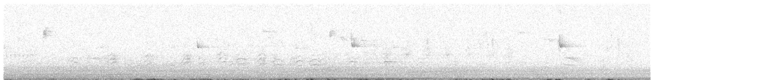 Acorn Woodpecker - ML644066137