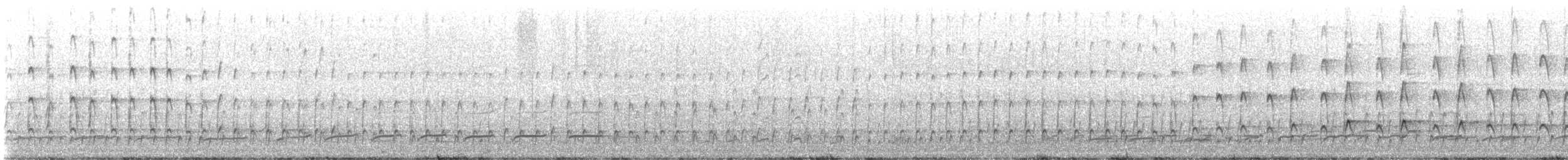 Pied Oystercatcher - ML644066168