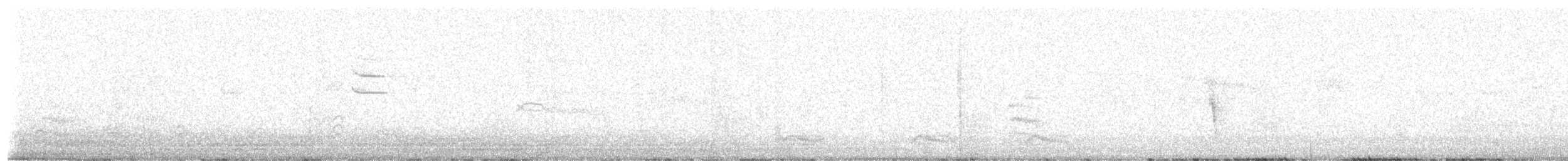 White-breasted Nuthatch (Pacific) - ML644066207