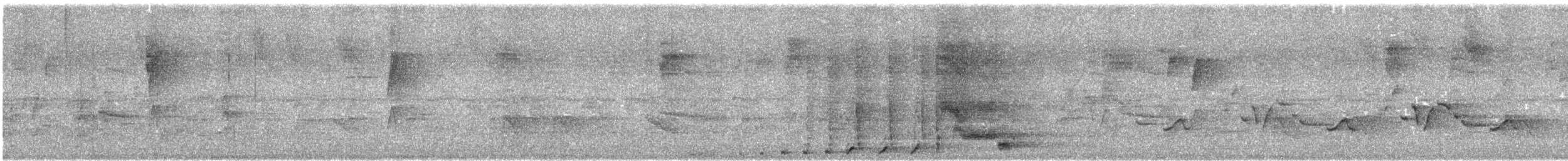 Cacique Verdioscuro - ML644066717