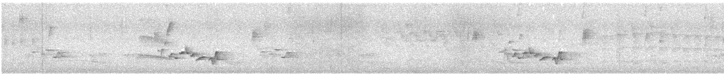 ハイムネモリミソサザイ - ML644067180