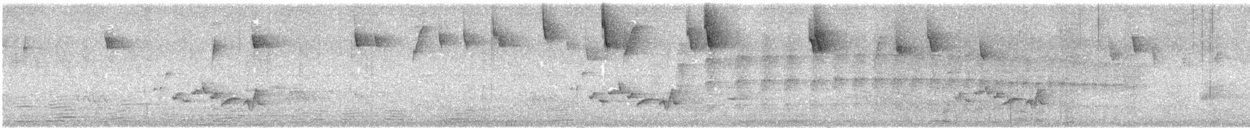 Buff-browed Foliage-gleaner - ML644067388