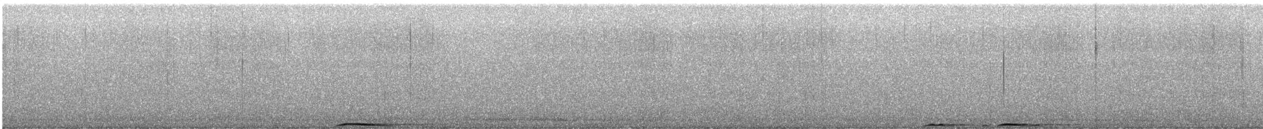 Ural Owl (Ural) - ML644067408