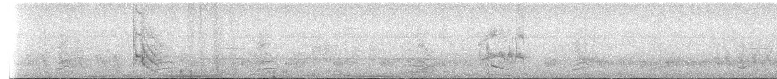 datel běloprsý - ML644067591