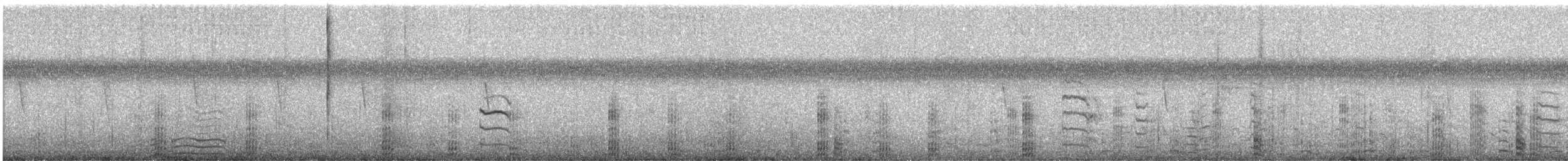 American Coot - ML644067650