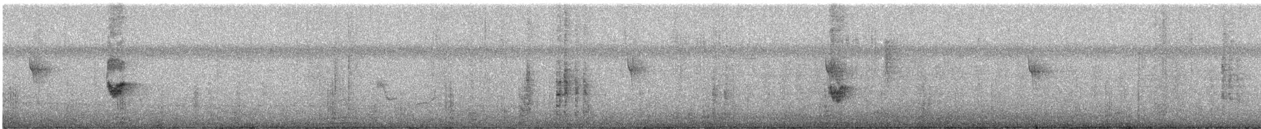 palmetrupial - ML644067655