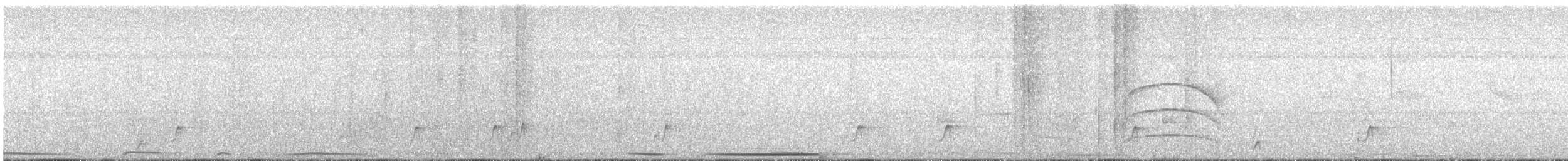アカメバト - ML644067767