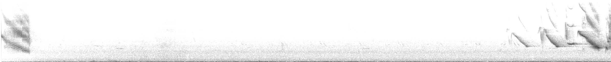 Sturnelle australe - ML644068349