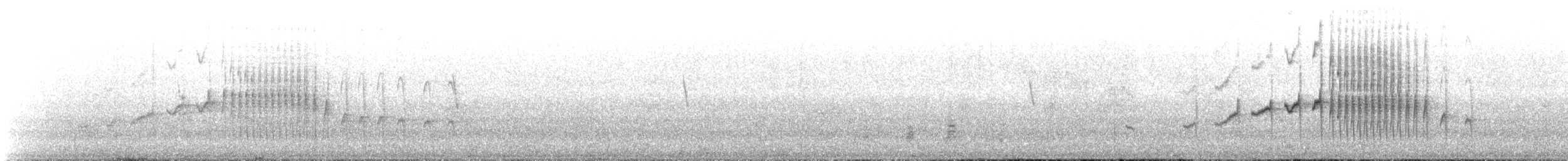 Cinclode à ventre sombre - ML644068523