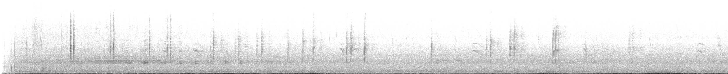 Cinclode à ventre sombre - ML644068524