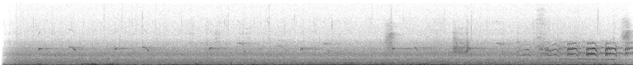 Chilean Flicker - ML644068542