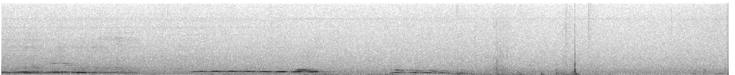 Bay Coucal - ML644069014