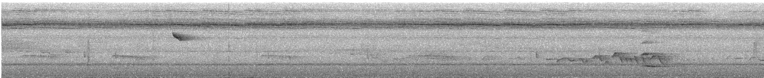 Rhipidure des Célèbes - ML644069533